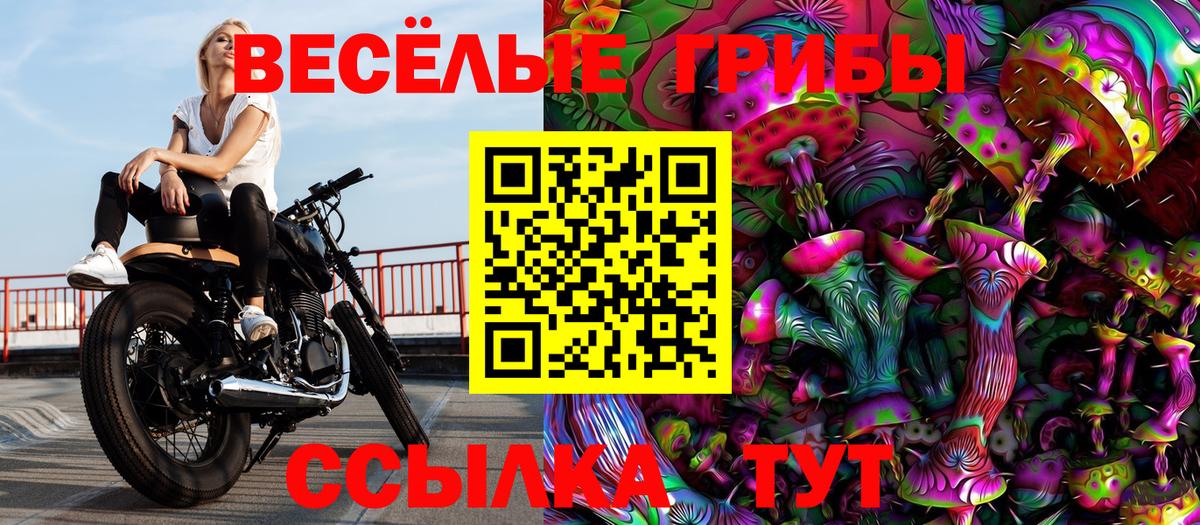 Псилоцибиновые грибы мухоморы  Вход с VPN  Железногорск  Псилоцибиновые грибы ЛСД 